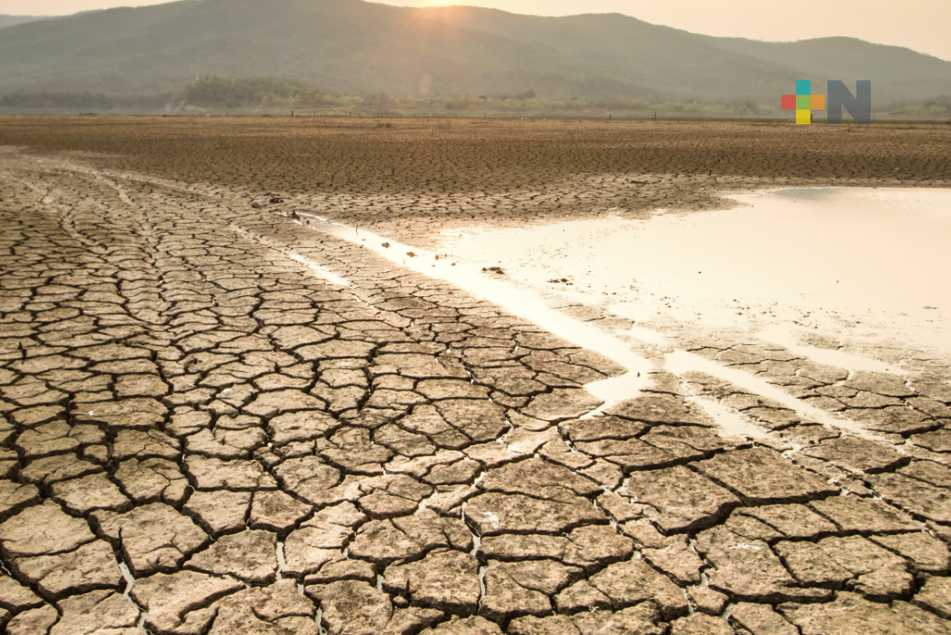 Fenómeno La Niña puede desarrollarse antes de que finalice 2024: SPC